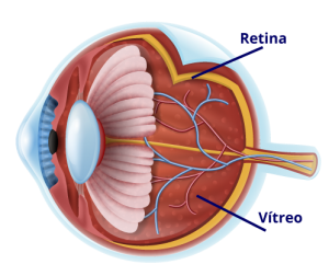 Retina-y-vítreo en Guayaquil retina en guayaquil