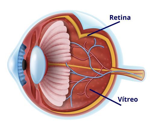 Retina-y-vítreo en Guayaquil retina en guayaquil