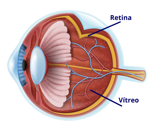 retina en guayaquil